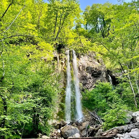 Appartement Cozy & Chic - With A Private Patio