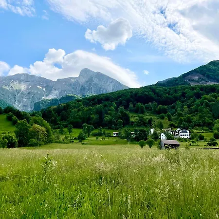 Appartement Cozy & Chic - With A Private Patio *