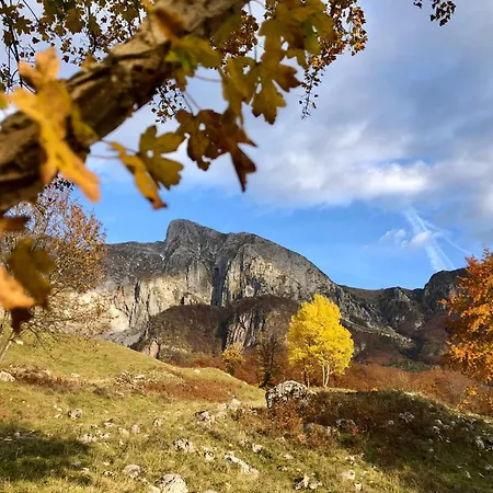 Cozy & Chic - With A Private Patio Kobarid