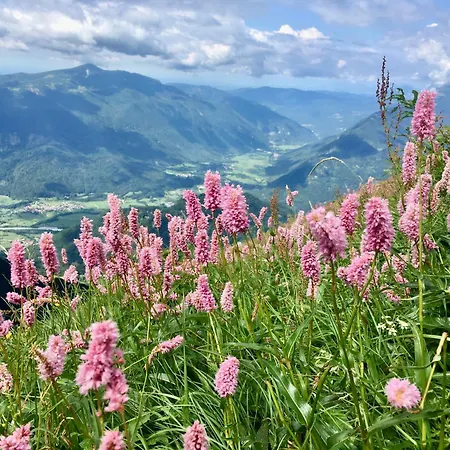 Appartement Cozy & Chic - With A Private Patio Kobarid