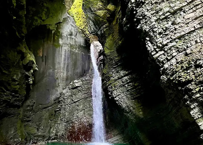 Cozy & Chic - With A Private Patio